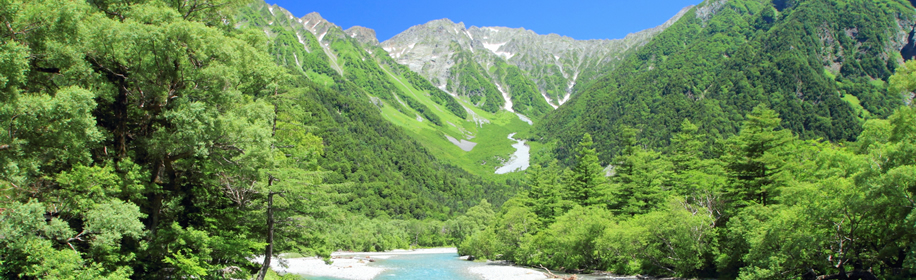 山