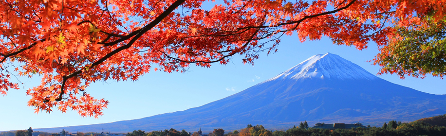 山